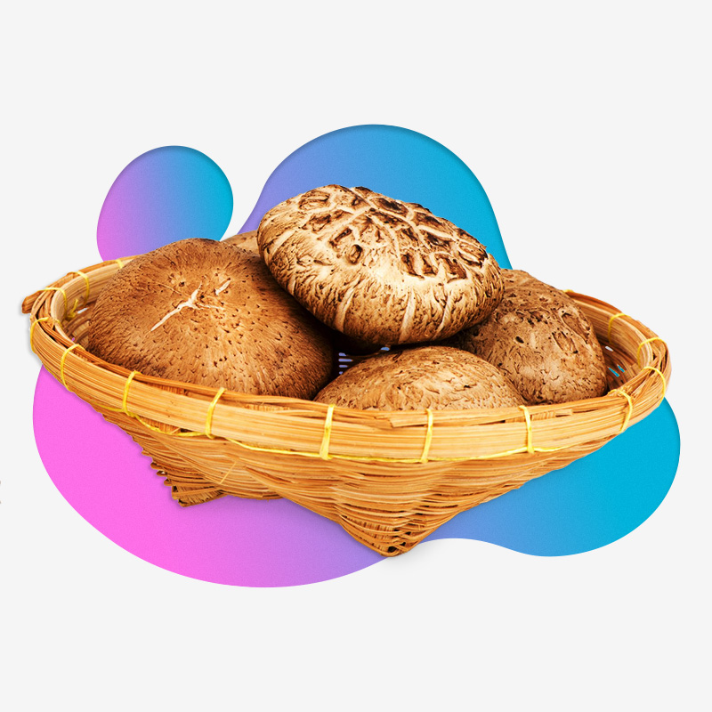 ظرف نان