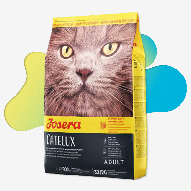 غذای خشک گربه